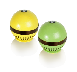 Prithvi speakers